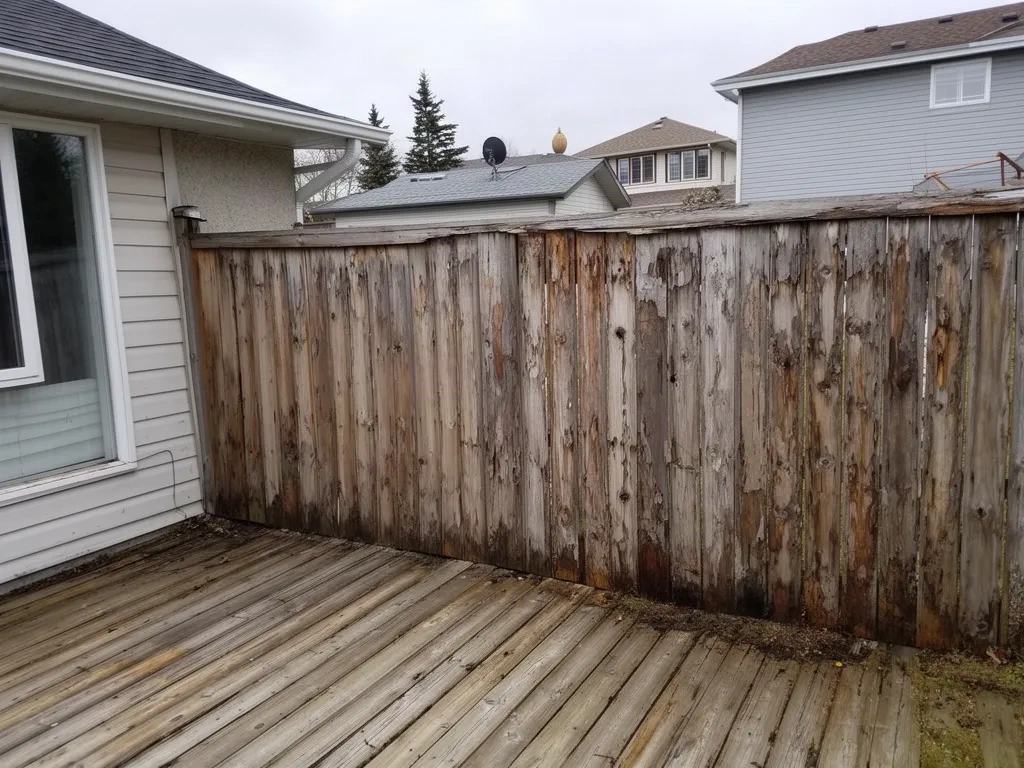 Before — Fence Staining & Painting in Winnipeg